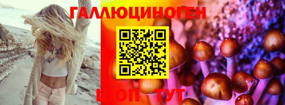 Псилоцибиновые грибы Psilocybine cubensis  наркота  Горячий Ключ  Вход с VPN 